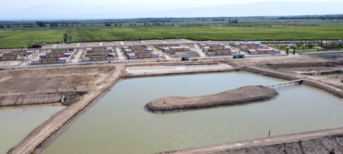 碧水映青山 魚躍產(chǎn)業(yè)興——內(nèi)陸水產(chǎn)養(yǎng)殖開辟致富新路徑